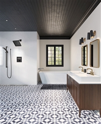 Brizo Matte Black Shower System